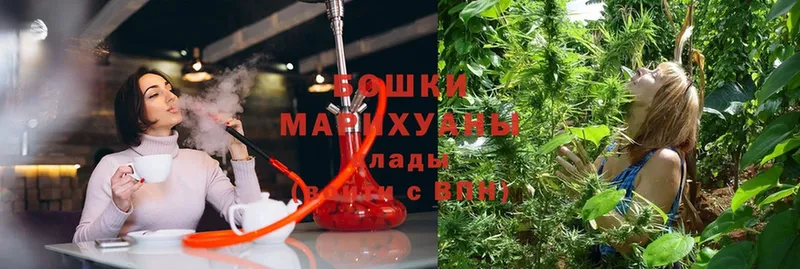 где найти   Нижнекамск  Бошки марихуана ГИДРОПОН 